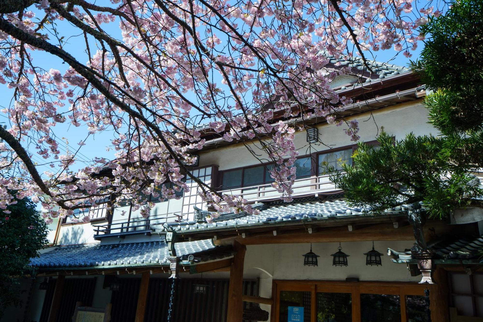 Sakahijiri Gyokushoen Izu  Esterno foto